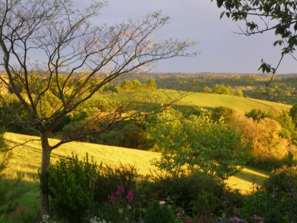 Maison Artigouha Bed and Breakfast Loubieng Buitenkant foto